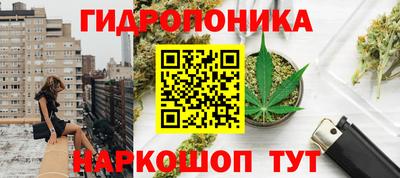 прущая мука Кимры
