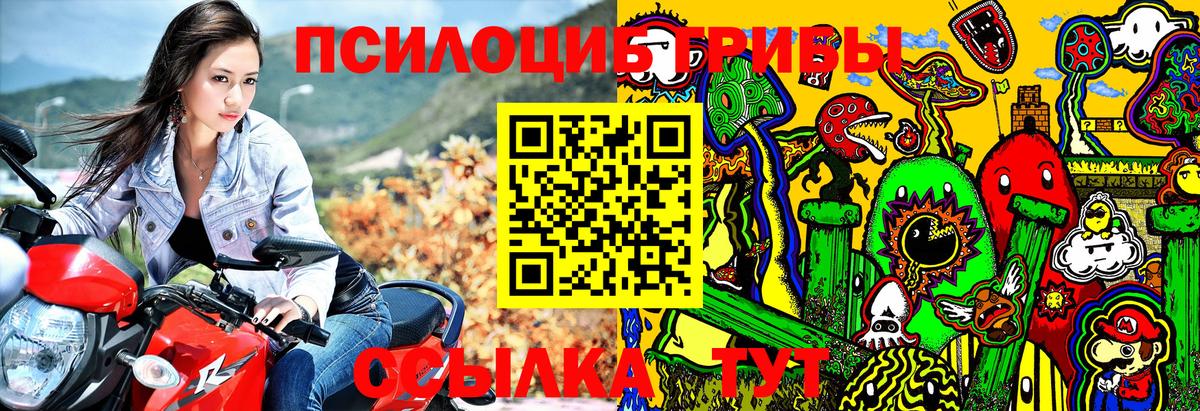 цены   Вход с VPN  Фрязино  Псилоцибиновые грибы MAGIC MUSHROOMS 